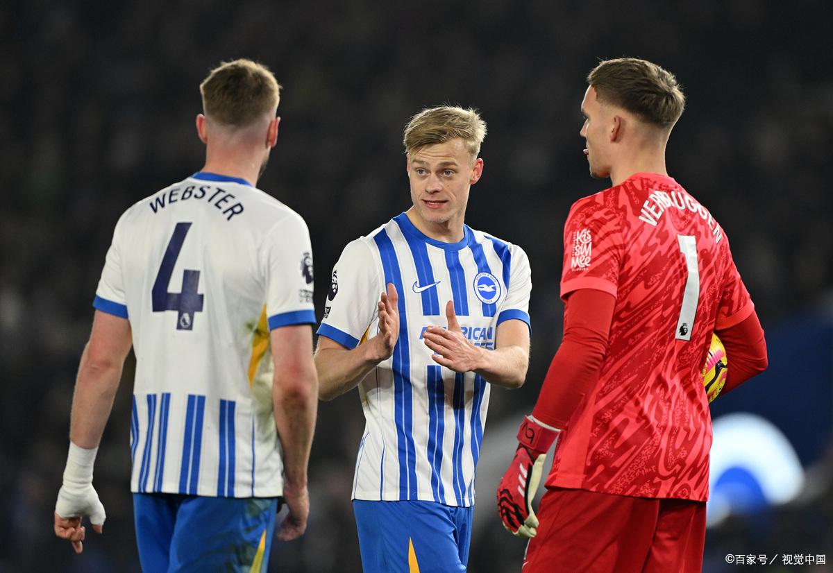 布莱顿足球俱乐部球迷 布莱顿足球俱乐部球迷